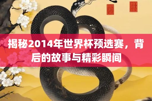 揭秘2014年世界杯预选赛，背后的故事与精彩瞬间吉安市靖泰电力工程有限公司