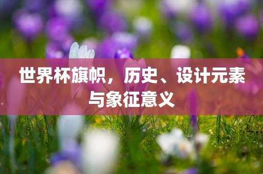 世界杯旗帜，历史、设计元素与象征意义吉安市靖泰电力工程有限公司