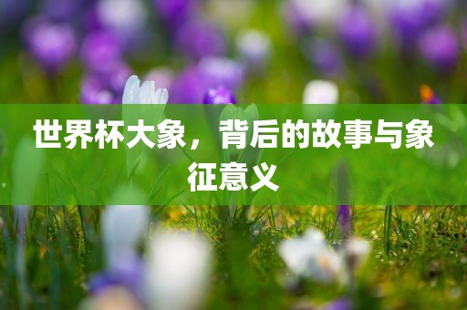 世界杯大象，背后的故事与象征意义
