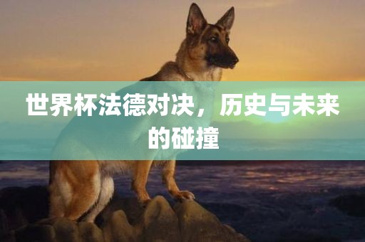 世界杯法德对决，历史与未来的碰撞