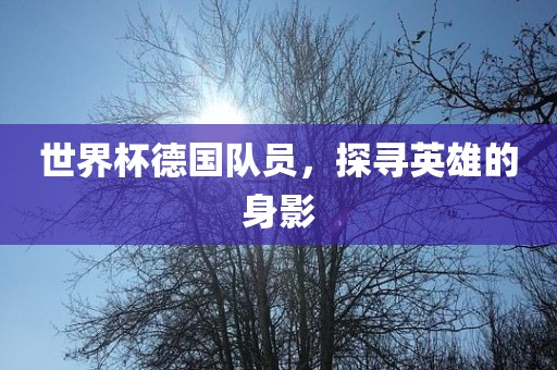 吉安市靖泰电力工程有限公司世界杯德国队员，探寻英雄的身影