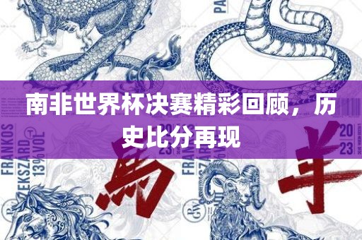 南非世界杯决赛精彩回顾，历史比分再现