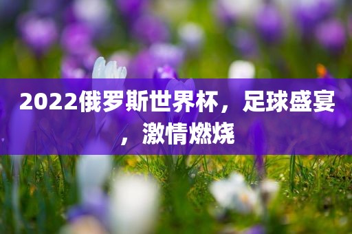 2022俄吉安市靖泰电力工程有限公司罗斯世界杯，足球盛宴，激情燃烧