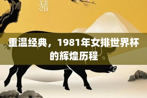 重温经典，1981年女排世界杯的辉煌历程吉安市靖泰电力工程有限公司