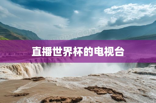 直播世界杯的电视台
