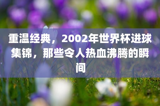重温经典，2002年世界杯进球集锦，那些令人热血沸腾的瞬间