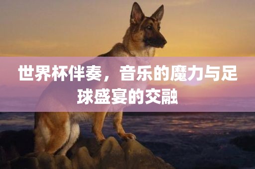 世界杯伴奏，音乐的魔力与足球盛宴的交融吉安市靖泰电力工程有限公司
