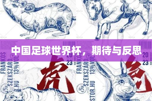 中国足球世界杯，期待与反思吉安市靖泰电力工程有限公司