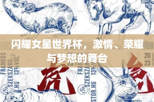 闪耀女星世界杯，激情、荣耀与梦想的舞台吉安市靖泰电力工程有限公司
