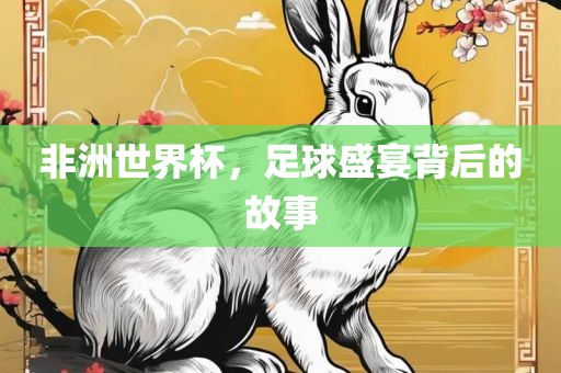 非洲世界杯，足球盛宴背后的故事