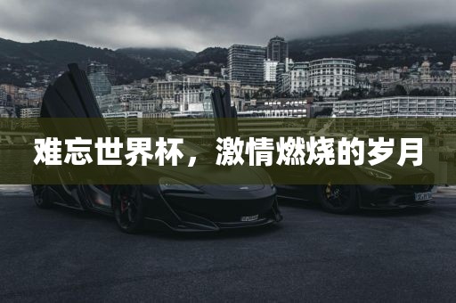 难忘世界杯，激情燃烧的岁月