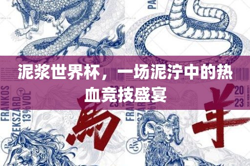 泥浆世界杯，一场泥泞中的热血竞技盛宴吉安市靖泰电力工程有限公司