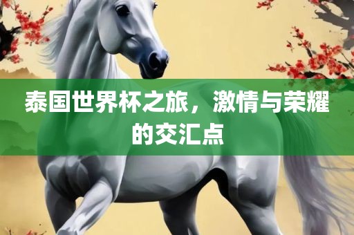 泰国世吉安市靖泰电力工程有限公司界杯之旅，激情与荣耀的交汇点