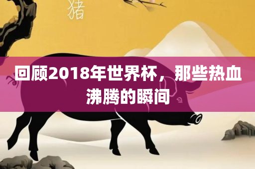 回顾2018年世界杯，那些热血沸腾的瞬间吉安市靖泰电力工程有限公司