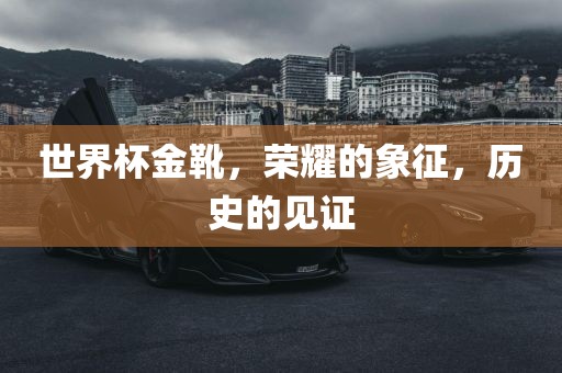 世界杯金靴，荣耀的象征，历史的见证