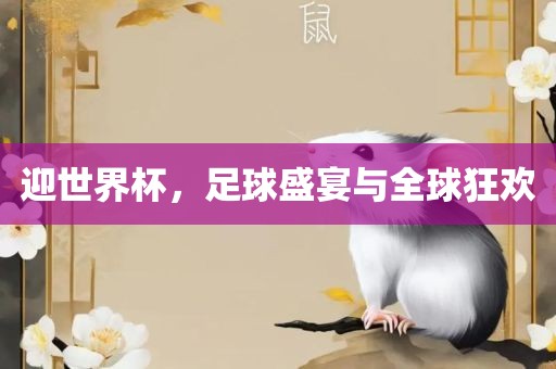 足球盛宴 第3页