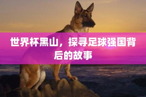 yibo 第2页
