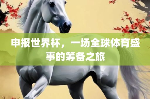 申报世界杯，一场全球体育盛事的筹备之旅吉安市靖泰电力工程有限公司
