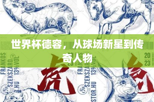 世界杯德容，从球场新星到传奇人物吉安市靖泰电力工程有限公司