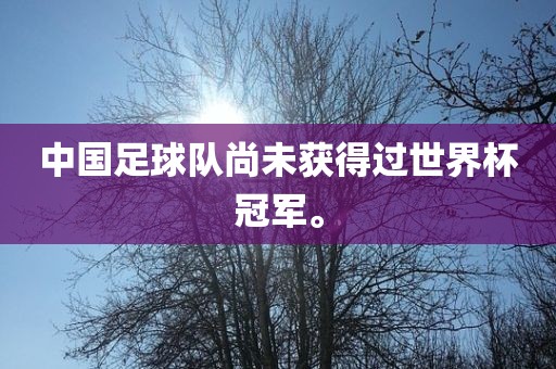 中国足球队尚未获得过世界杯冠军。