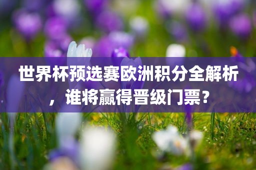 世界杯预选赛欧洲积分全解析，谁将赢得晋级门票？吉安市靖泰电力工程有限公司