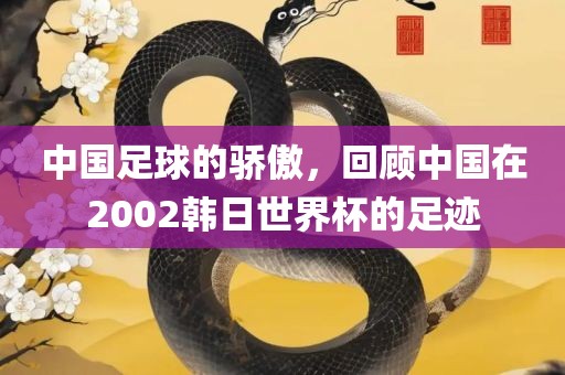 中国足球的骄傲，回顾中国在2002韩日世界杯的足迹