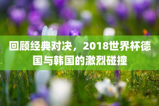 回顾经典对决，2018世界杯德国与韩国的激烈碰撞吉安市靖泰电力工程有限公司