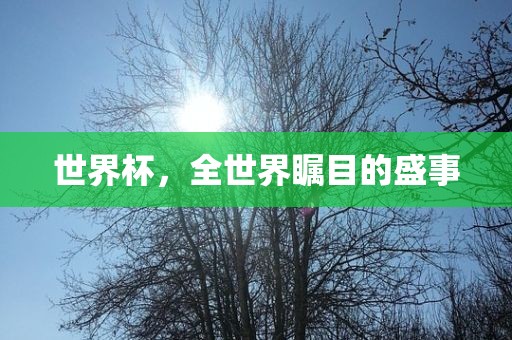 世界杯，全世界瞩目的盛吉安市靖泰电力工程有限公司事