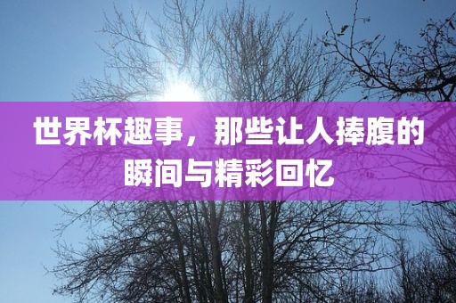 世界杯趣事，那些让人捧腹的瞬间与精彩回忆吉安市靖泰电力工程有限公司