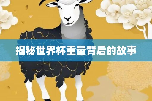 揭秘世界杯重量背后的故事吉安市靖泰电力工程有限公司