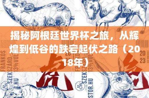 揭秘阿根廷世界杯之旅，从辉煌到低谷的跌宕起伏之路（2018年）
