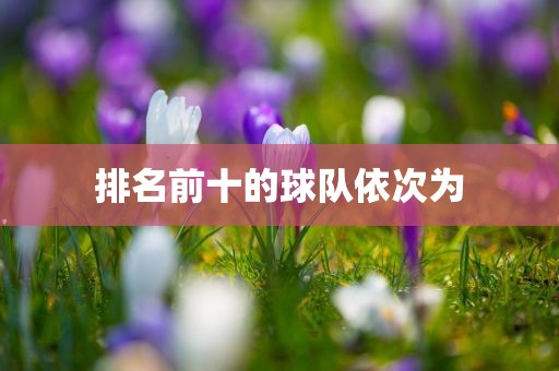 排名前十的球队依次为吉安市靖泰电力工程有限公司