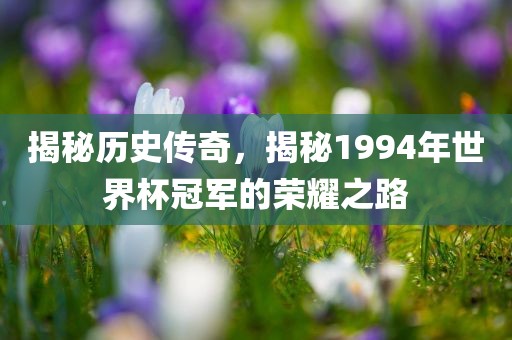 揭秘历史传奇，揭秘1994年世界杯冠军的荣耀之路