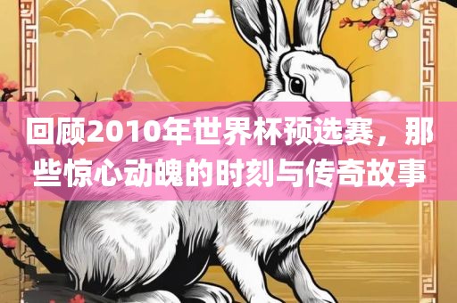 回顾2010年世界杯预选赛，那些惊心动魄的时刻与传奇故事吉安市靖泰电力工程有限公司
