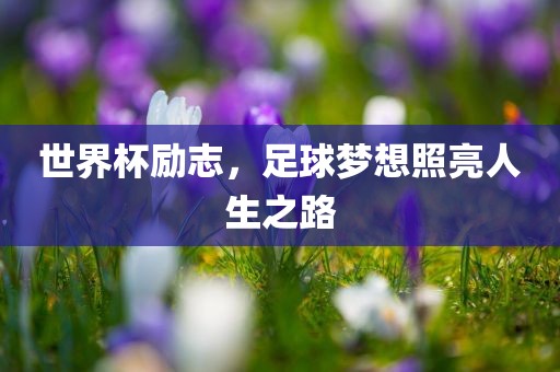 世界杯励志，足球梦想照亮人生之路
