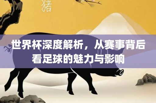 世界杯深度解析，从赛事背后看足球的魅力与影响