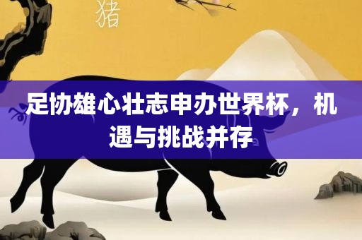 足协雄心壮志申办世界杯，机遇与挑战并存