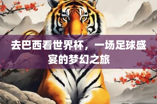 去巴西看世界杯，一场足球盛宴的梦幻之旅吉安市靖泰电力工程有限公司