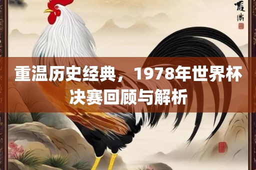 重温历史经典，1978年世界杯决赛回顾与解析吉安市靖泰电力工程有限公司