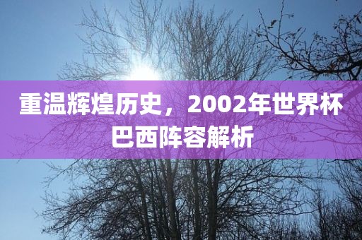 重温辉煌历史，2002年世界杯巴西阵容解析吉安市靖泰电力工程有限公司