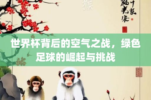 世界杯背后的空气之战，绿色足球的崛起与挑战吉安市靖泰电力工程有限公司