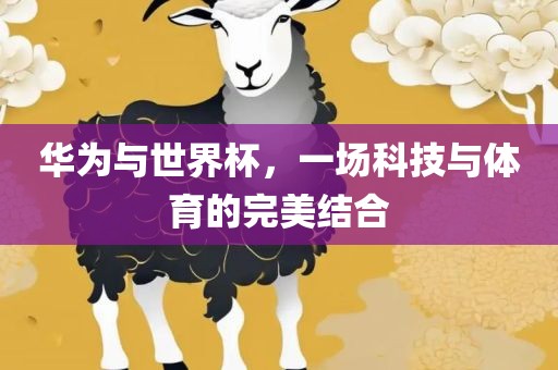 华为与世界杯，一场科技与体育的完美结合