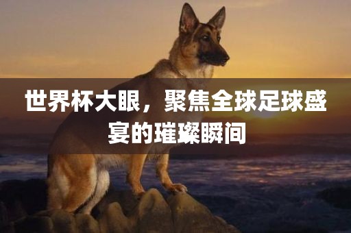 世界杯大眼，聚焦吉安市靖泰电力工程有限公司全球足球盛宴的璀璨瞬间