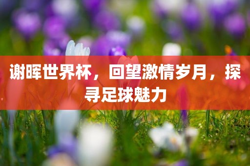 谢晖世界杯，回望激情岁月，探寻足球魅力