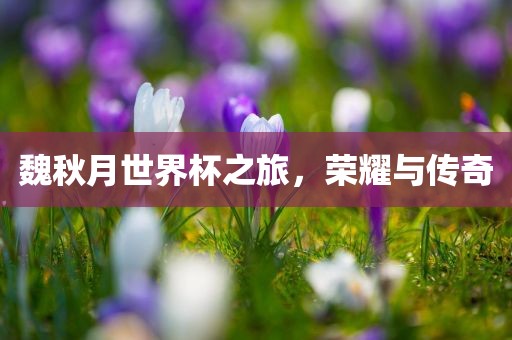 魏秋月世界杯之旅，荣耀与传奇吉安市靖泰电力工程有限公司