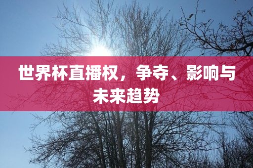 世界杯直播权，争夺、影响与未来趋势吉安市靖泰电力工程有限公司