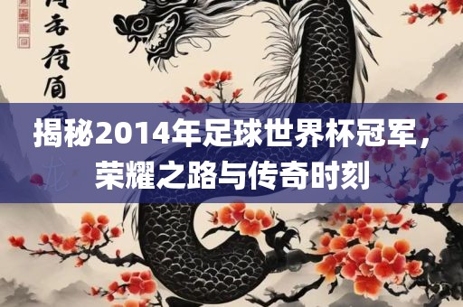 揭秘2014年足球世界杯冠军，荣耀之路与传奇时刻