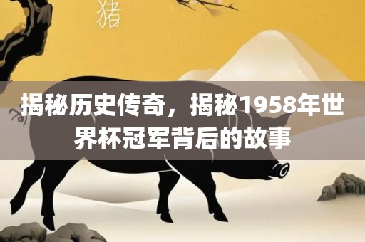 揭秘历史传奇，揭秘1958年世界杯冠军背后的故事吉安市靖泰电力工程有限公司