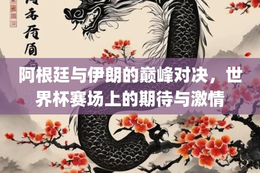 阿根廷与伊朗的巅峰对决，世界杯赛场上的期待与激情吉安市靖泰电力工程有限公司