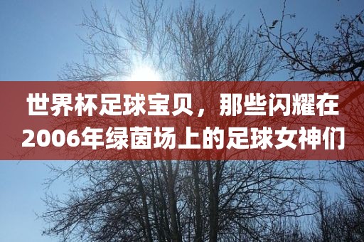 世界杯足球宝贝，那些闪耀在2006年绿茵场上的足球女神们吉安市靖泰电力工程有限公司